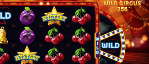 Wild Circus 256 výherný online automat