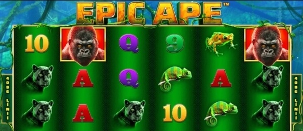 epic-ape.jpg