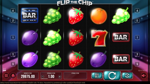 flip-main.jpg