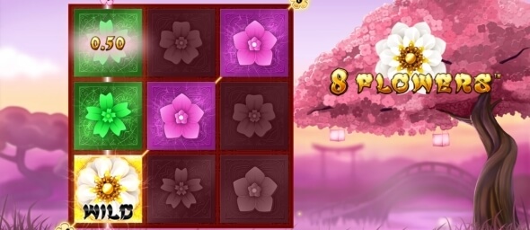 8 Flowers, Synotgames
