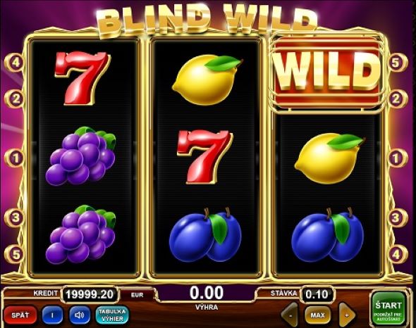 Blind Wild