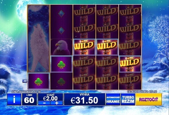Kasíno hra Wolwes Wolwes Wolwes výhra