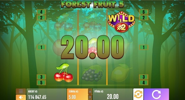 Forest Fruit 5 v SYNOT TIP kasíne