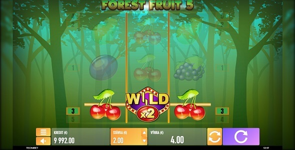Forest Fruit 5 v SYNOT TIP kasíne