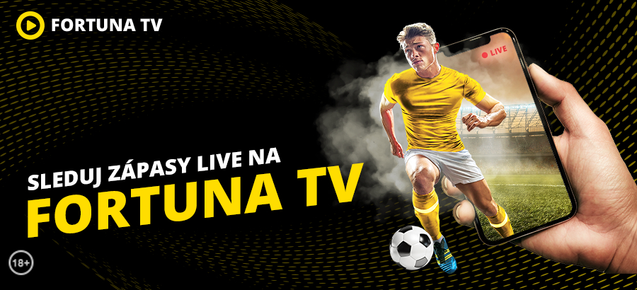 Fortuna TV