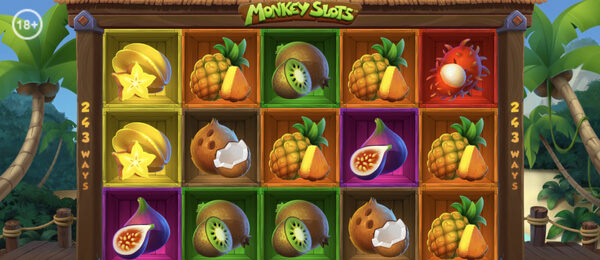 Monkey Slots v Betor casino