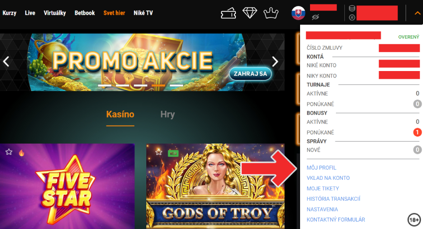 , Nike Casino SK 2026 Budúcnosť online hazardu na Slovensku, Gestor de transporte de Mercancías